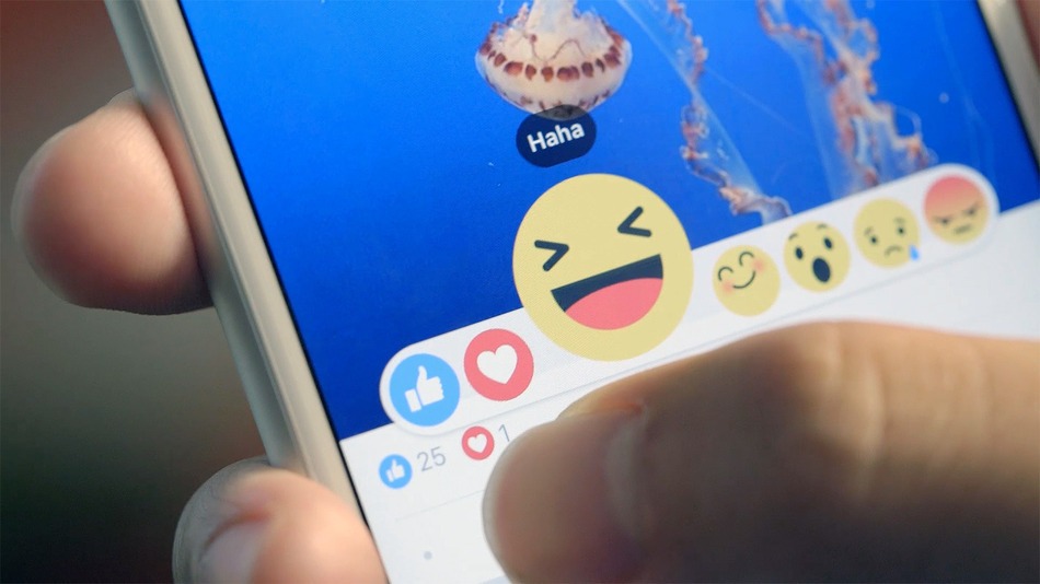 Article E-Nerd Facebook : 